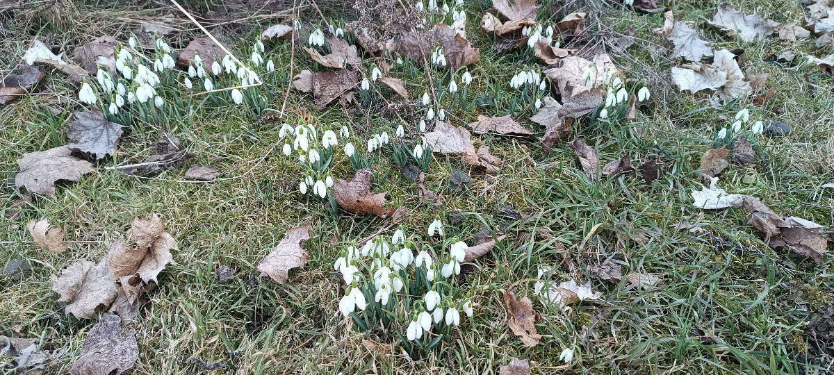 209320a0-f07c-44ad-8902-9cc8c6a63a2e