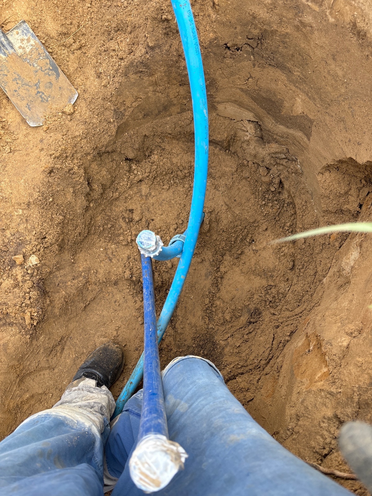 1a9a4fdc-9268-45bd-bf86-561c14bdd191