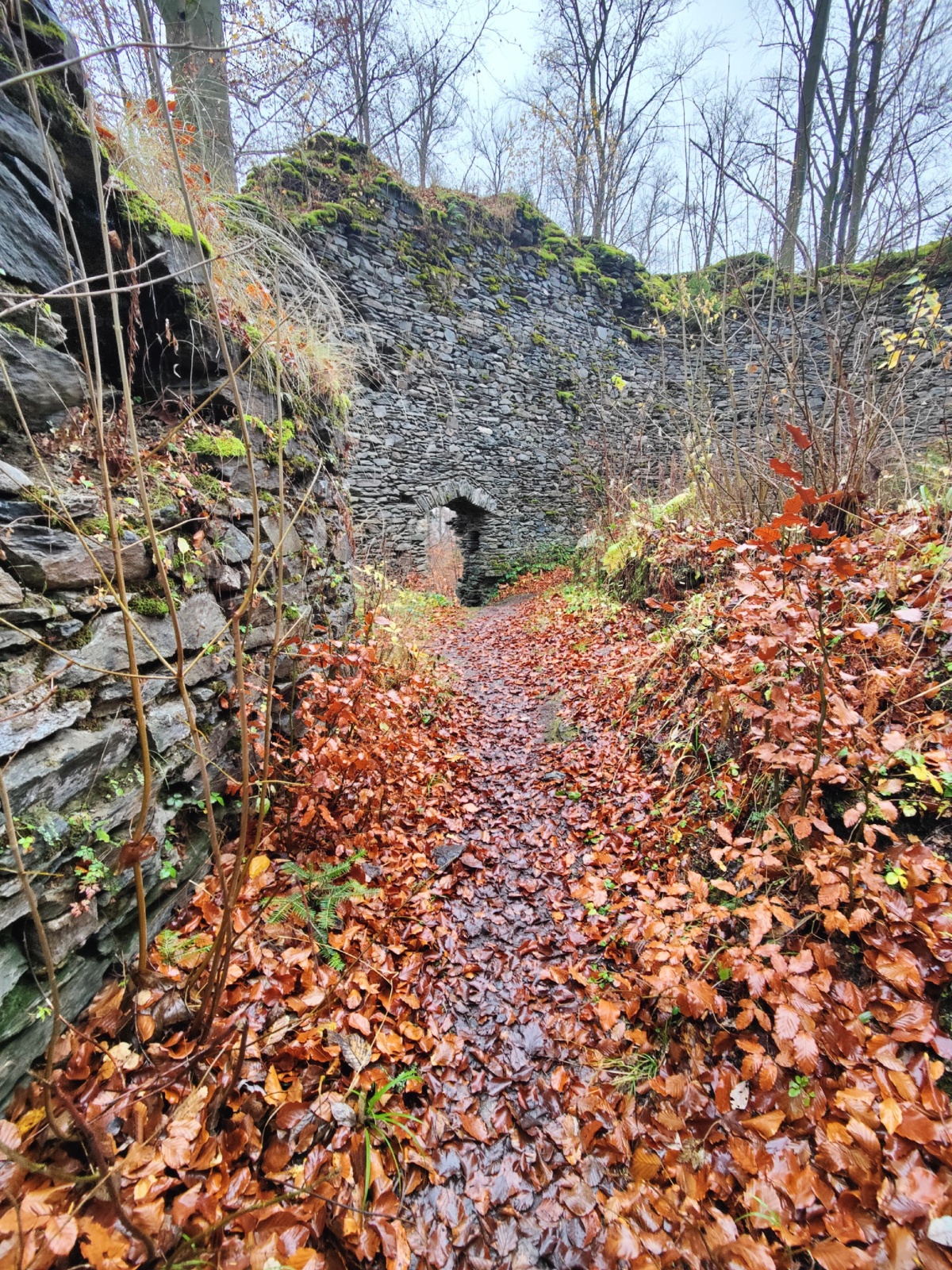 339ac10e-2e02-4a61-8350-1d46fe980611