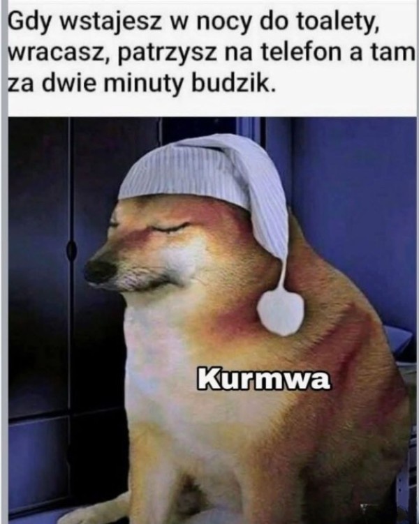 d31a023c-0ba4-4764-9267-b820f39fc4b8