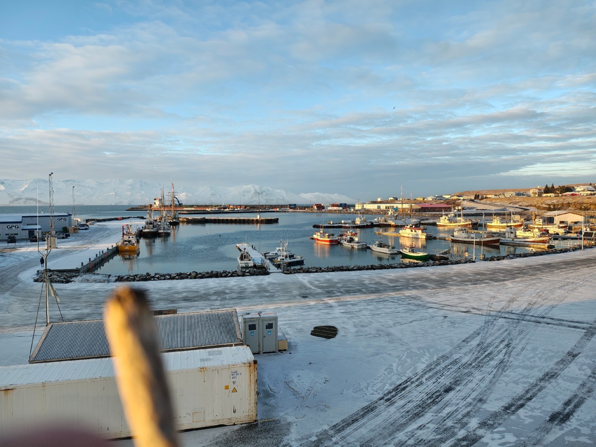 20f53b82-cf8c-449f-a90c-addd5ec61615