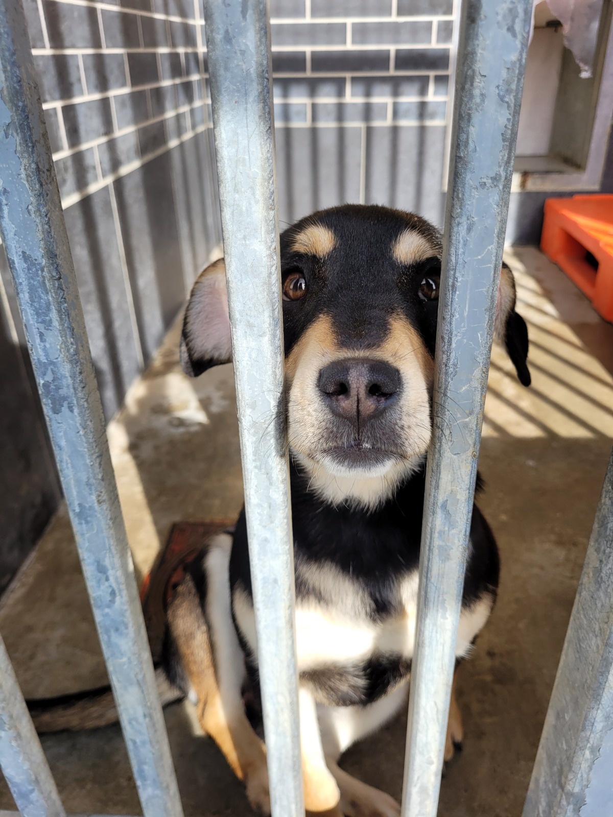 62585248-e7ba-4195-b324-d1285d403f1c