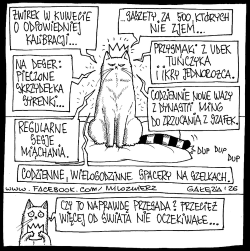 0a95ef38-ebaf-4598-b35b-c682adffbe3e