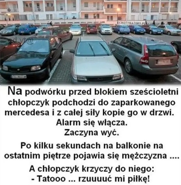 9c52c736-0038-4dab-b6c0-d6329530d242