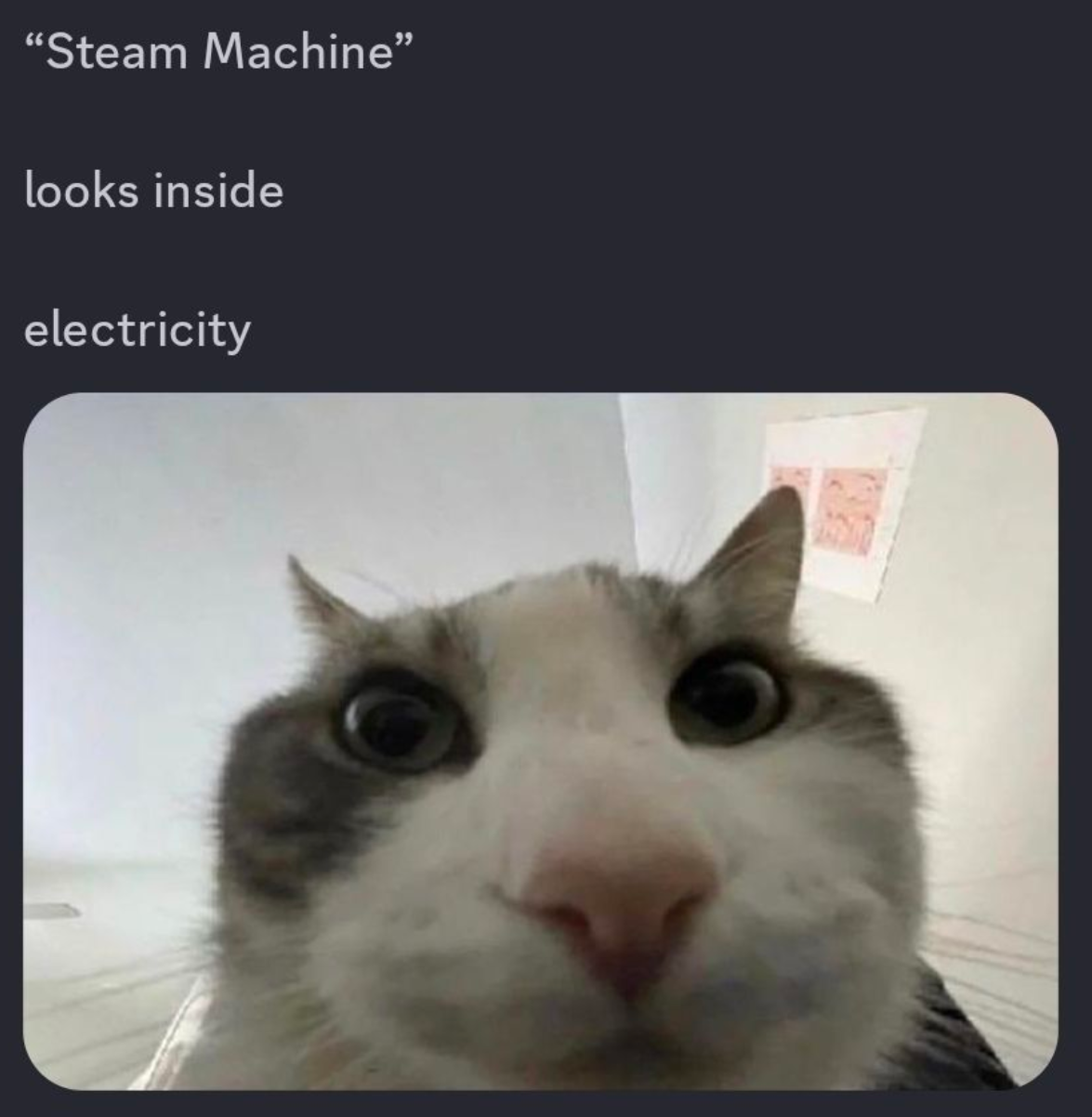 1d0124e4-745a-4c5e-aa97-9d6dadc6487a