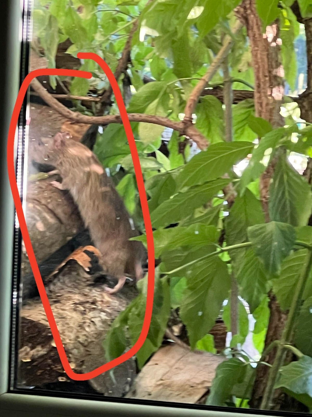 3c7d9029-5b17-4f61-98c6-6d9a2cf44366