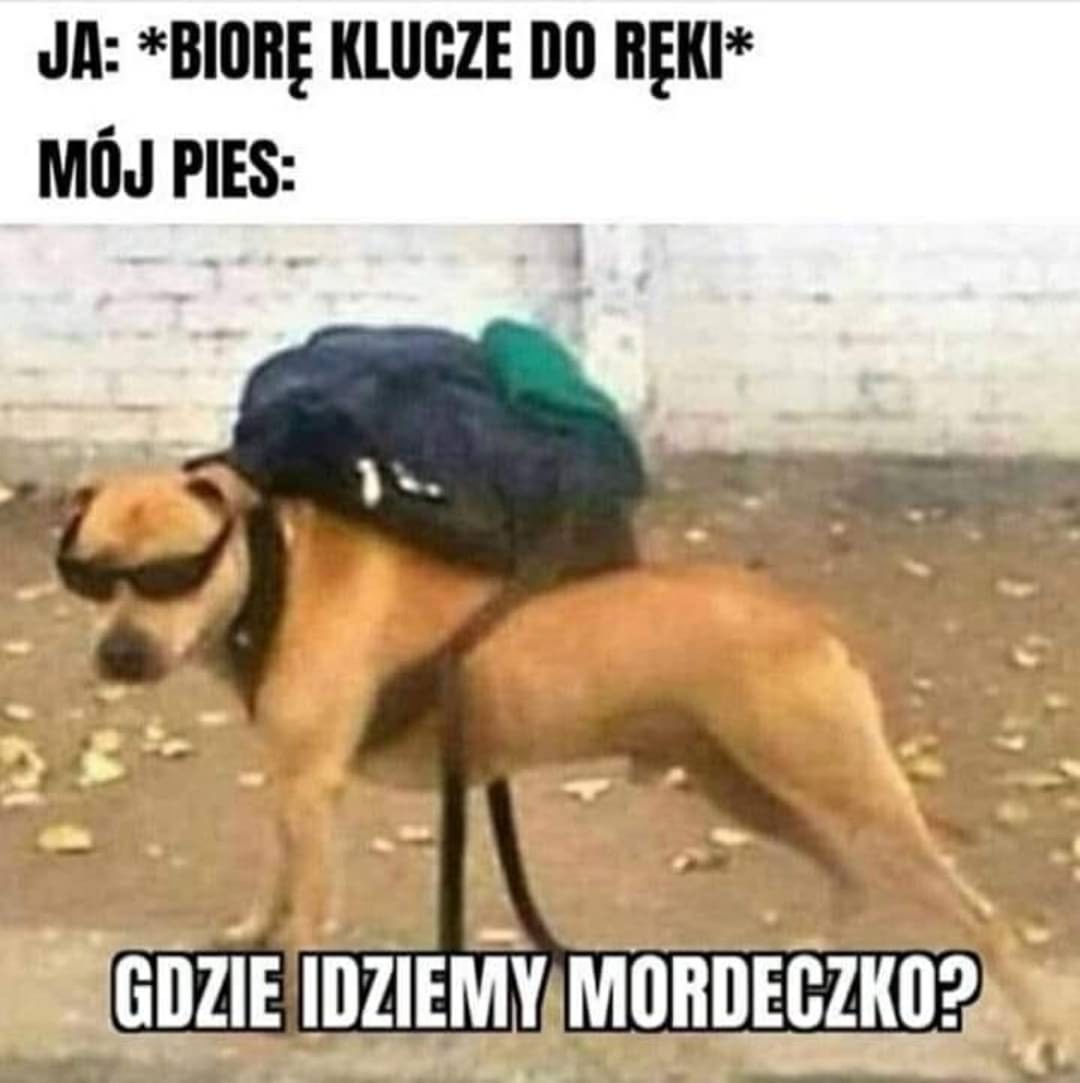 2a15f6ca-8669-4878-8273-58eb06839fe2