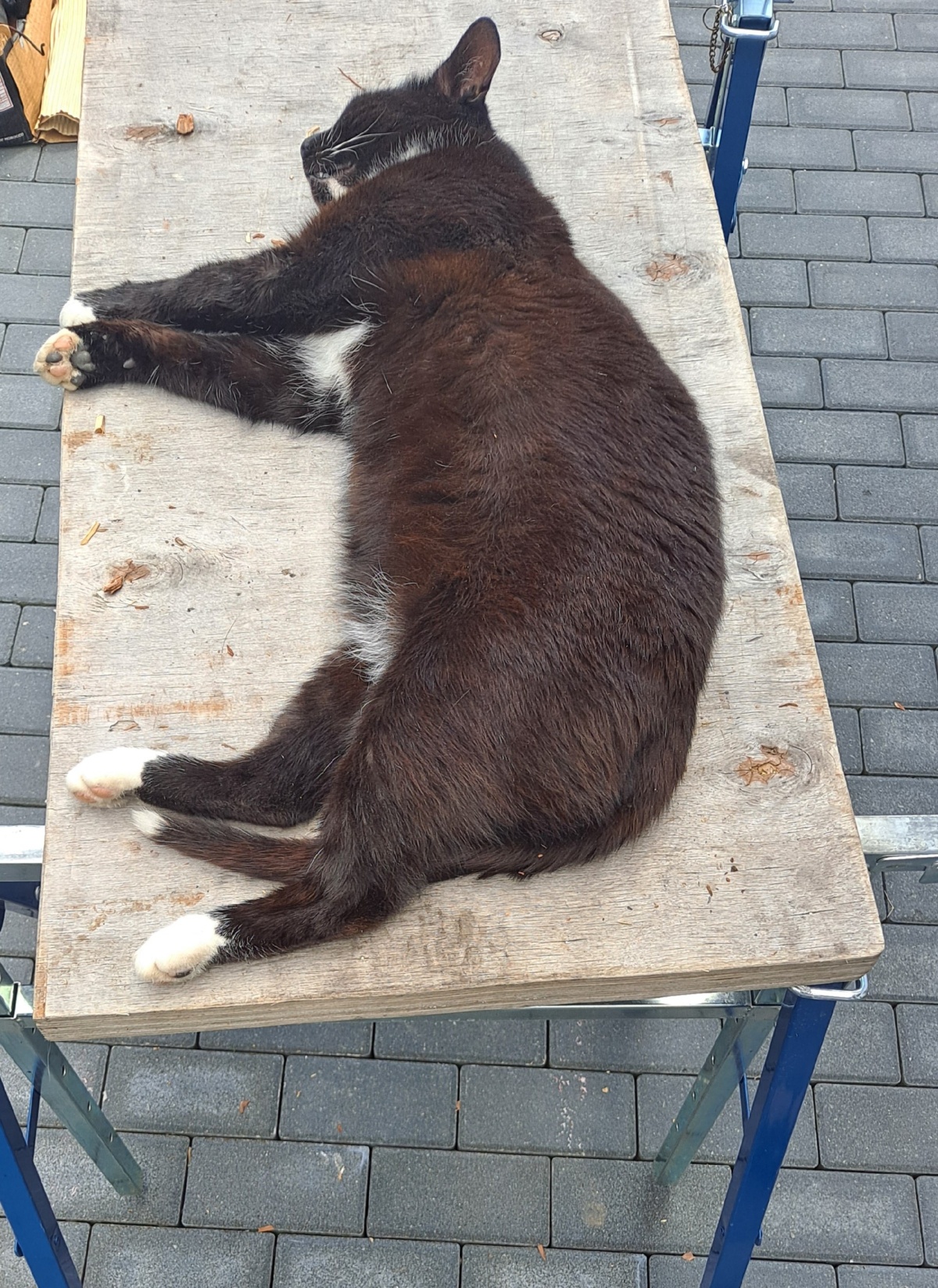 3f2af9bb-04aa-48c1-a588-c83b7bee60cd