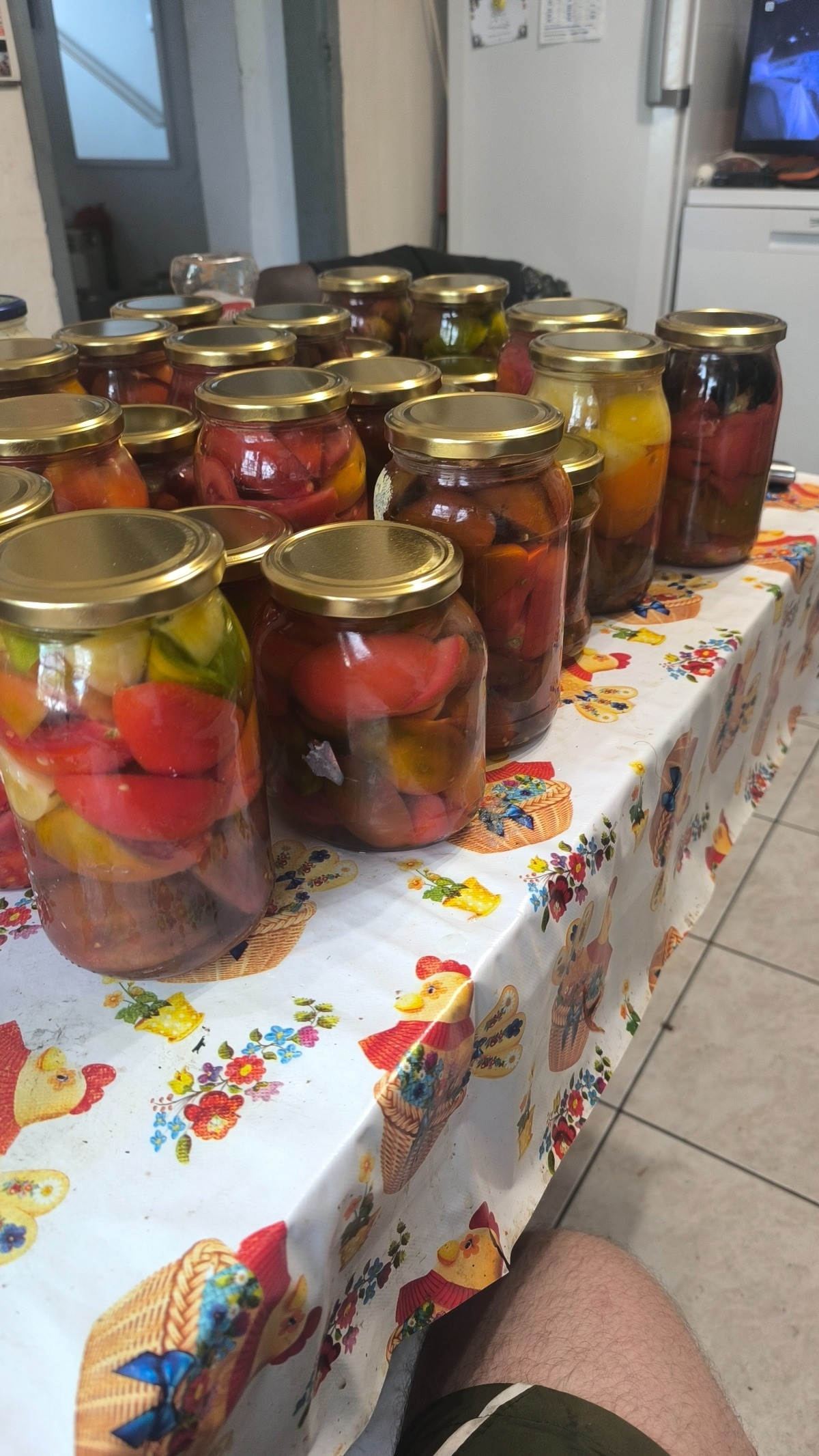 1b9da22a-badd-459e-bfc0-adf28c179f52