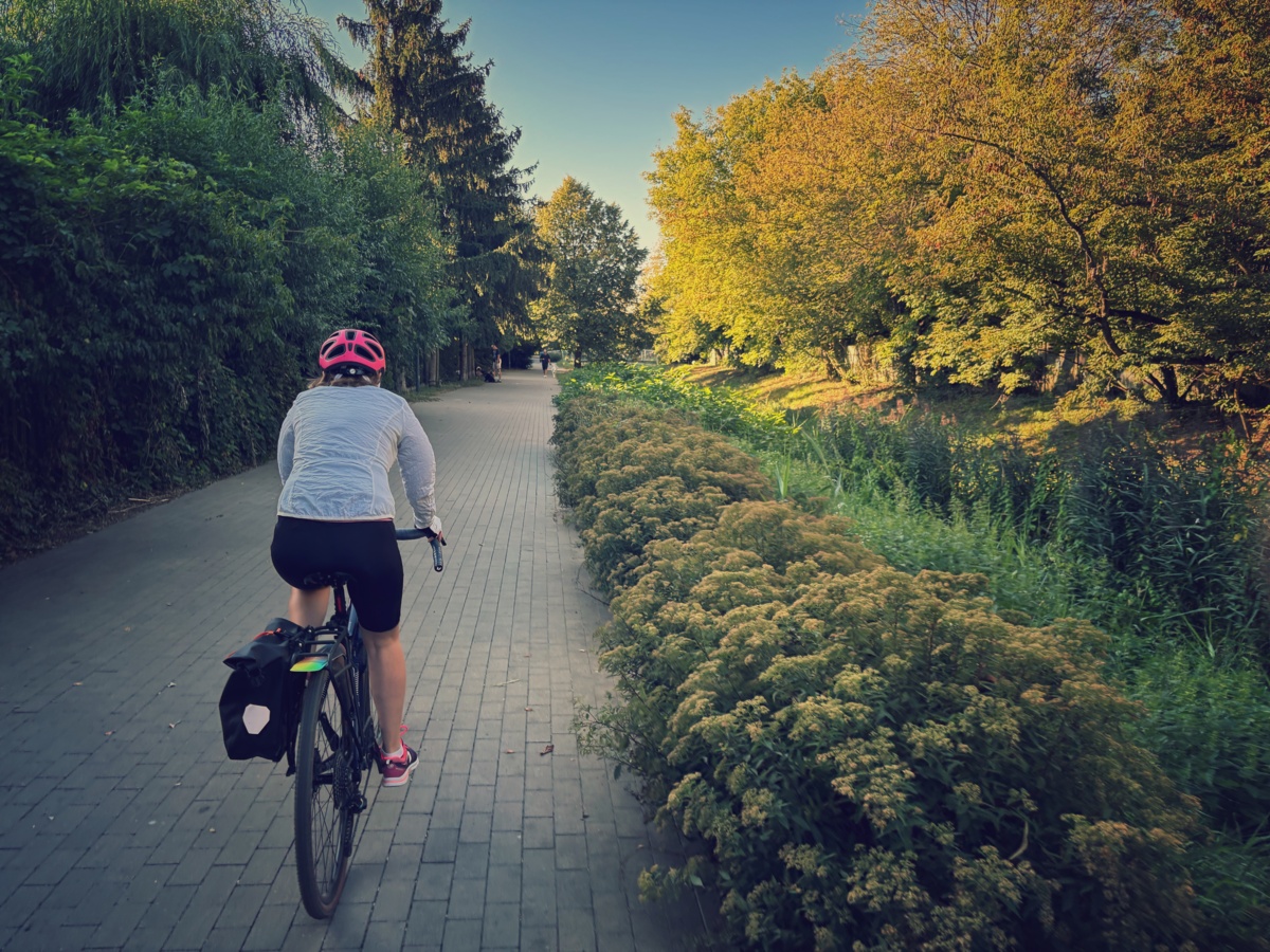 b2197168-7892-4d95-8ac8-130a6e86ecd1