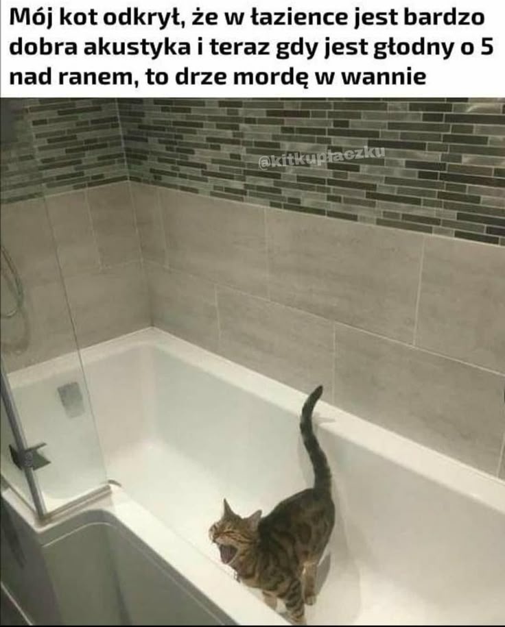 07b2bd4e-ef68-4e3c-be18-ed1961903747