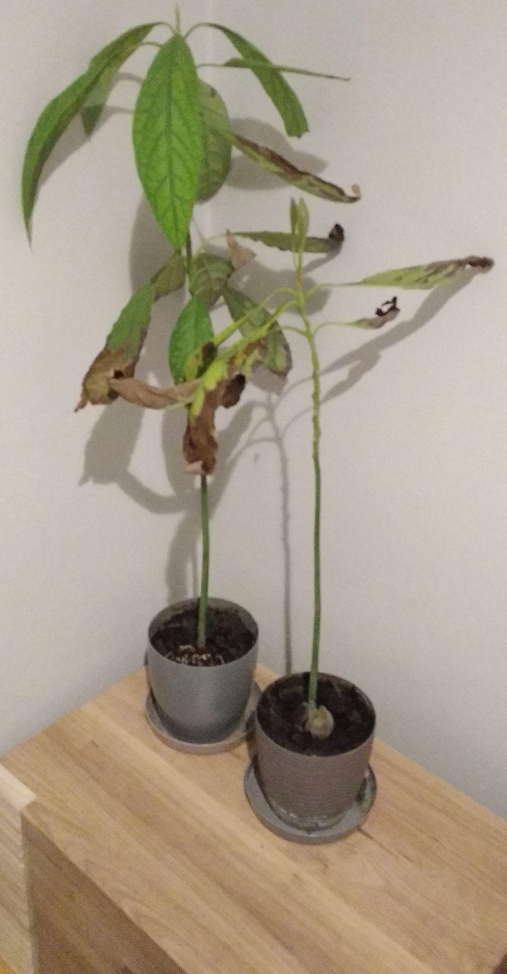 766e4fd9-e0c0-45a8-a8e3-8c7f44fa86b6