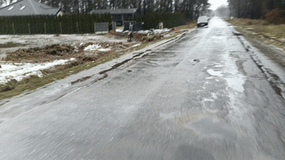 82e8c899-381c-4e11-a958-a916bb46b691