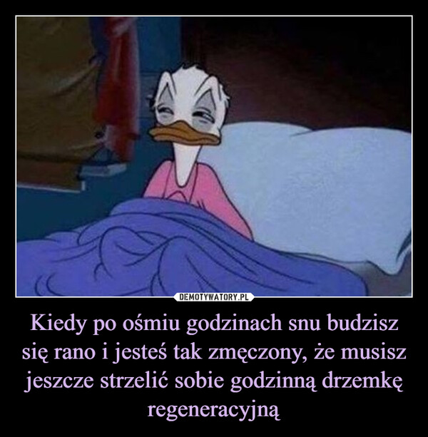 427e579d-695c-44db-bcb7-2db78ae4af3c