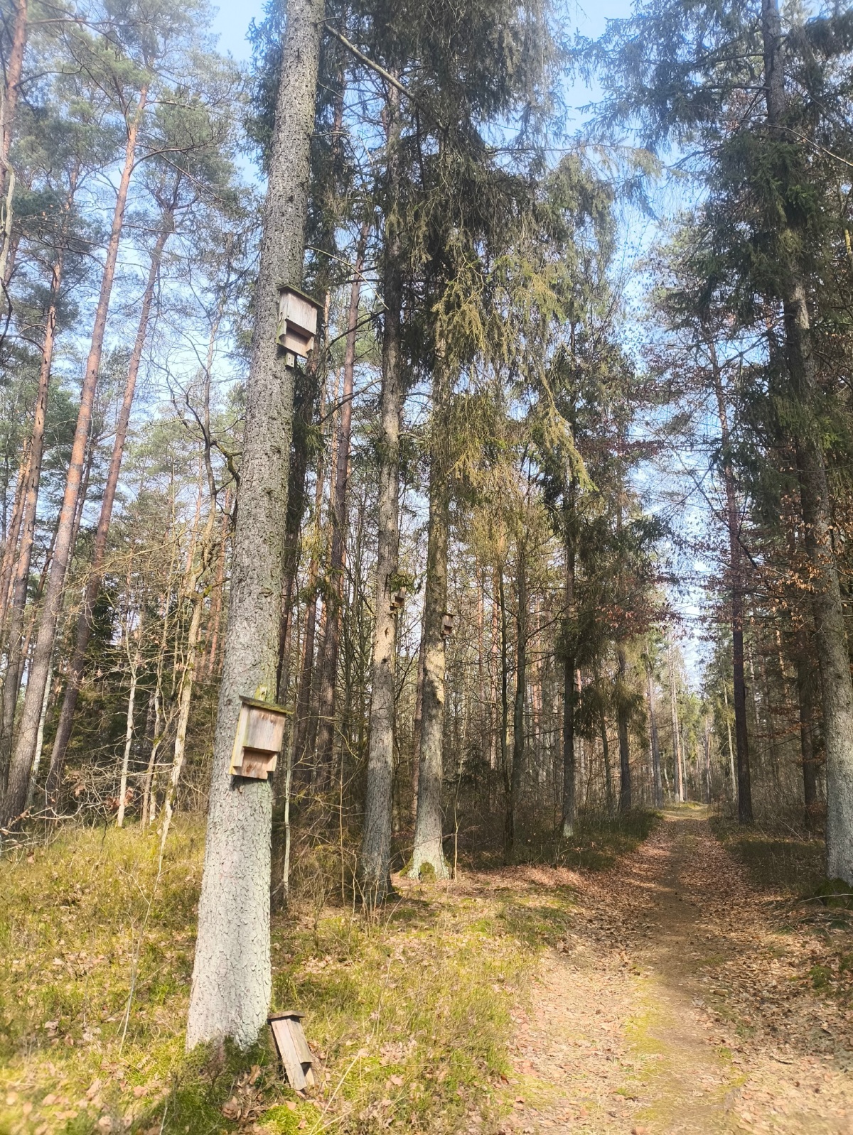 b5864ad1-f5cb-4d66-9ff5-57bcdd176a3b