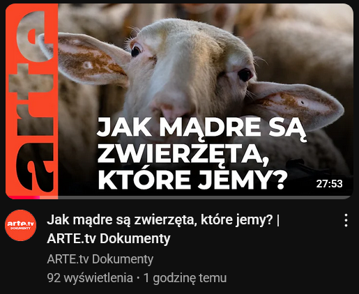 999e2343-3f4a-46c0-9d11-9f4d7d5f018c