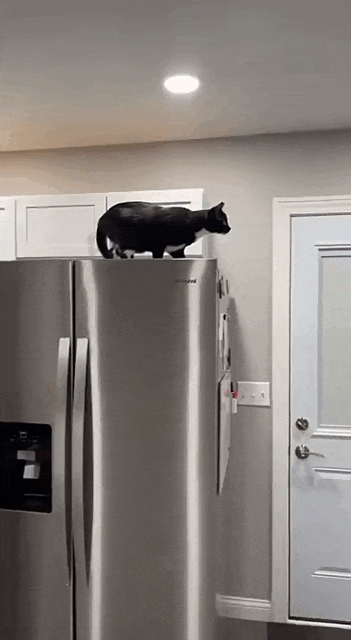 e0d7be93-ea46-4d46-baa1-c36de4657408