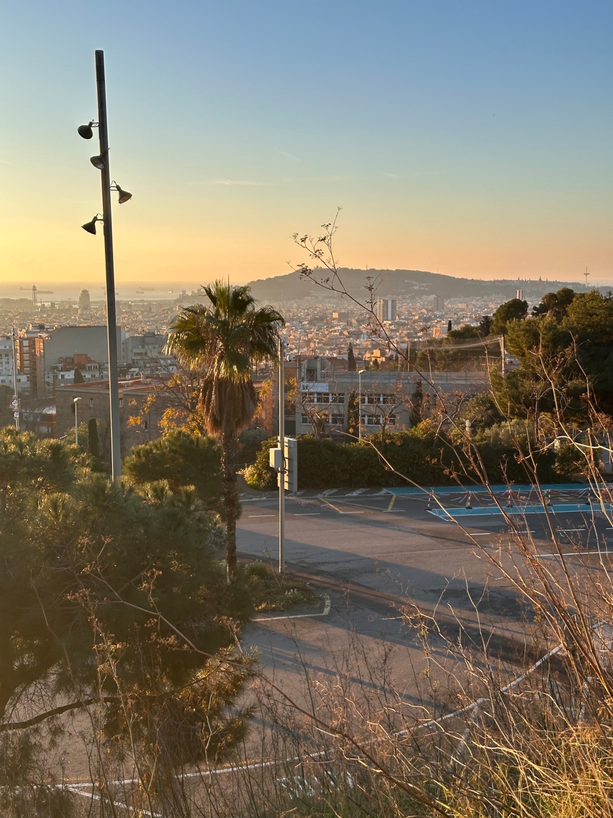 c70aacbe-96fb-4d2b-aff2-76883984a674