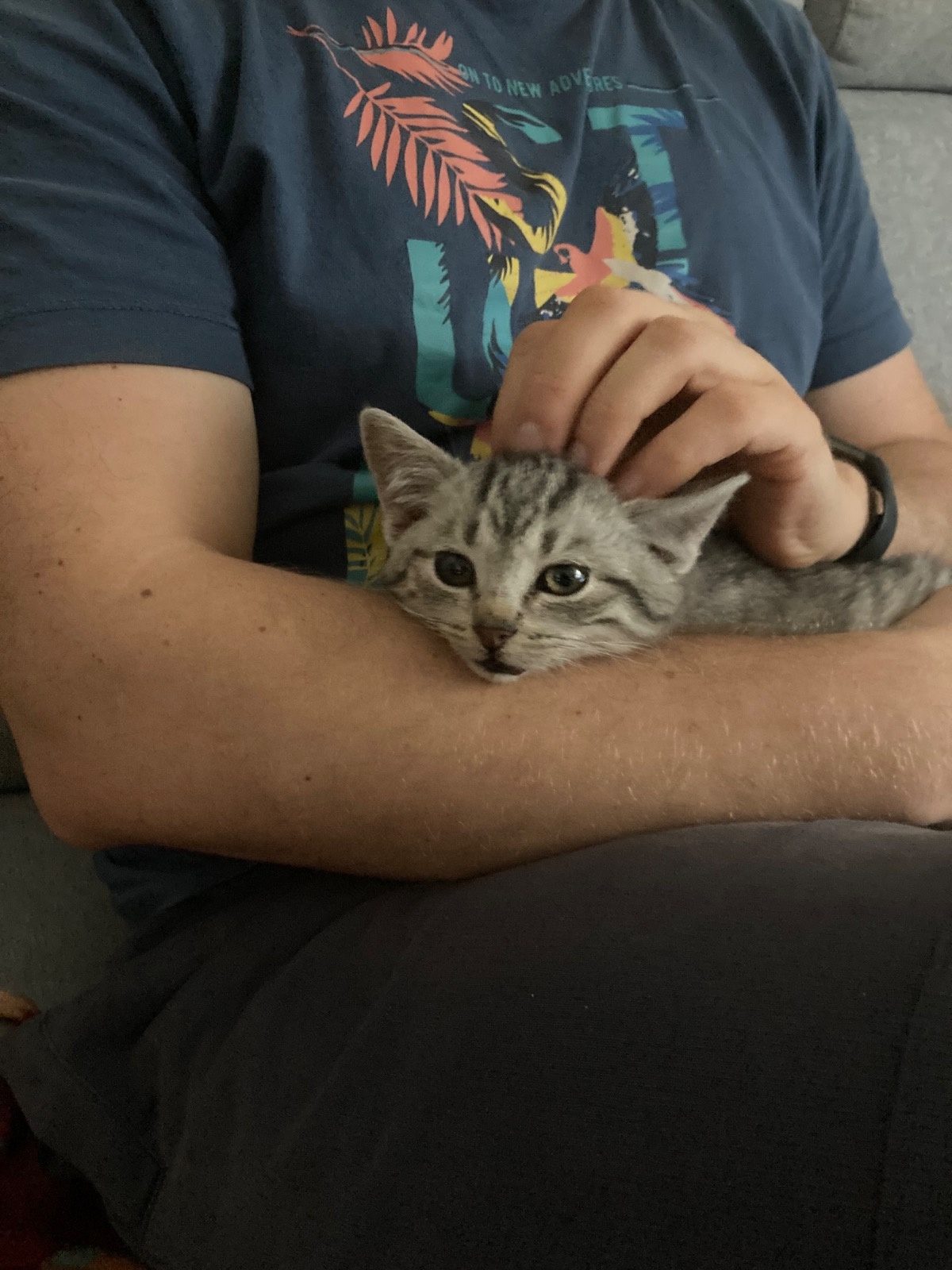 306936f4-38a7-49ae-ad2e-6e87955dea00