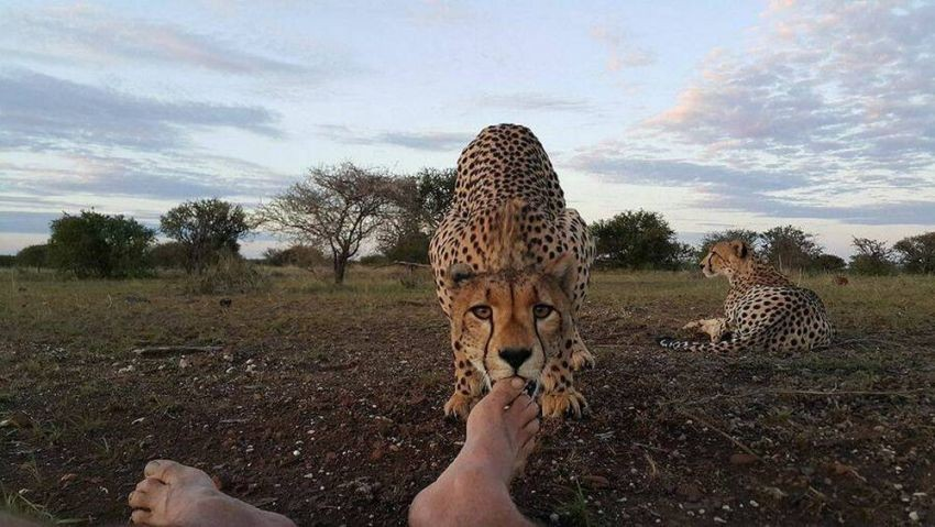 1c7dc327-133c-45c4-854d-2b617061108e