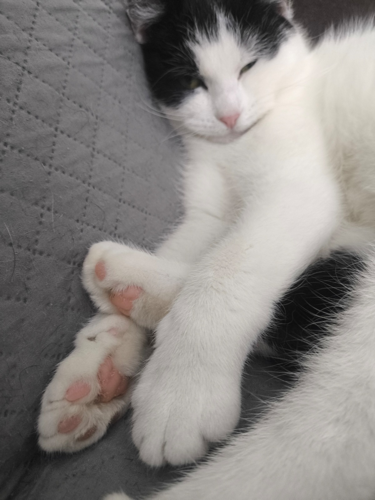 10428f4c-8124-4895-a007-cd017954197e