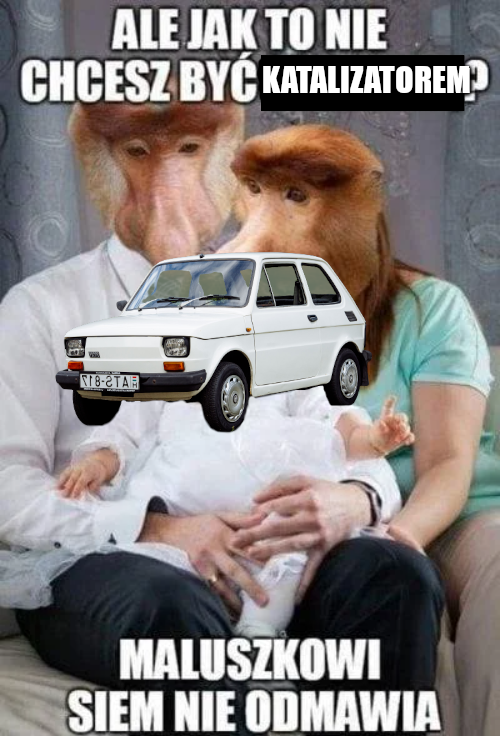 05560daf-a1c6-4722-a44a-7b5bf78111b3