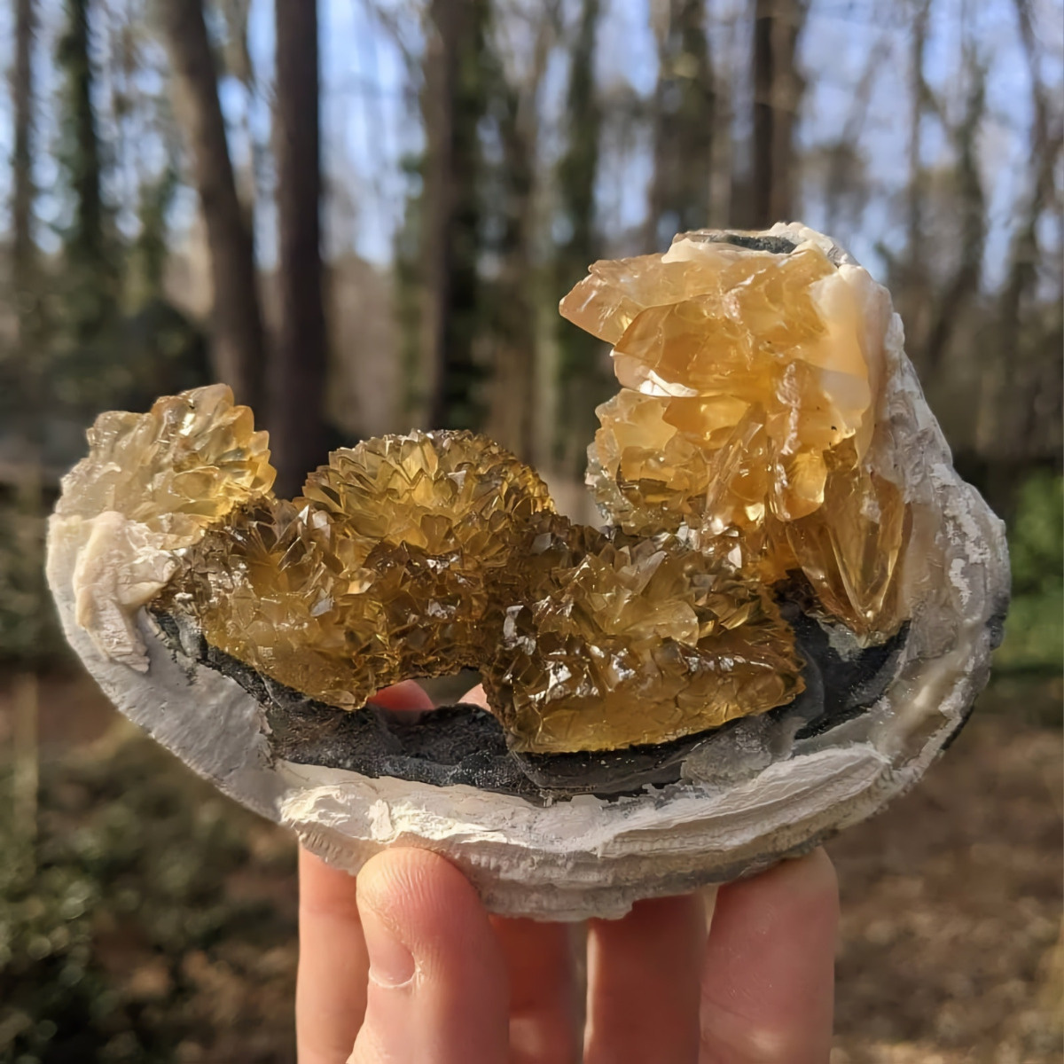 42aab234-388b-44f2-a6ab-66b93339ade3