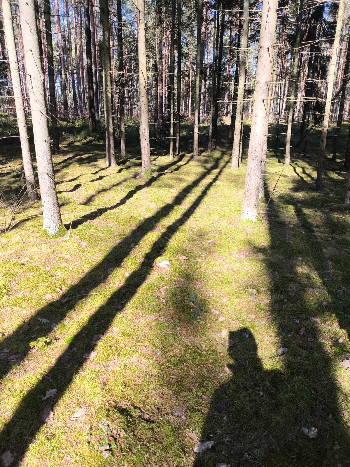 5c210bf2-7990-45be-b7cd-0d3222b740d9