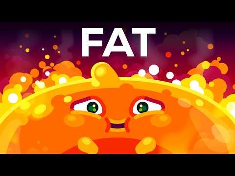 The Fat Problem. Czyli o wpływie tłuszczu na zdrowie człowieka.