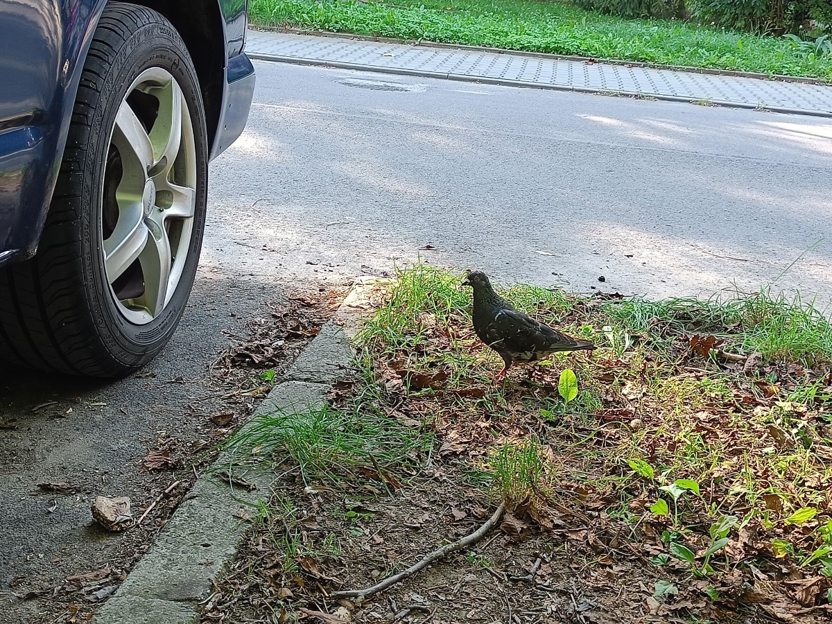 977bc986-5ff9-453b-b836-8ba5d504483f