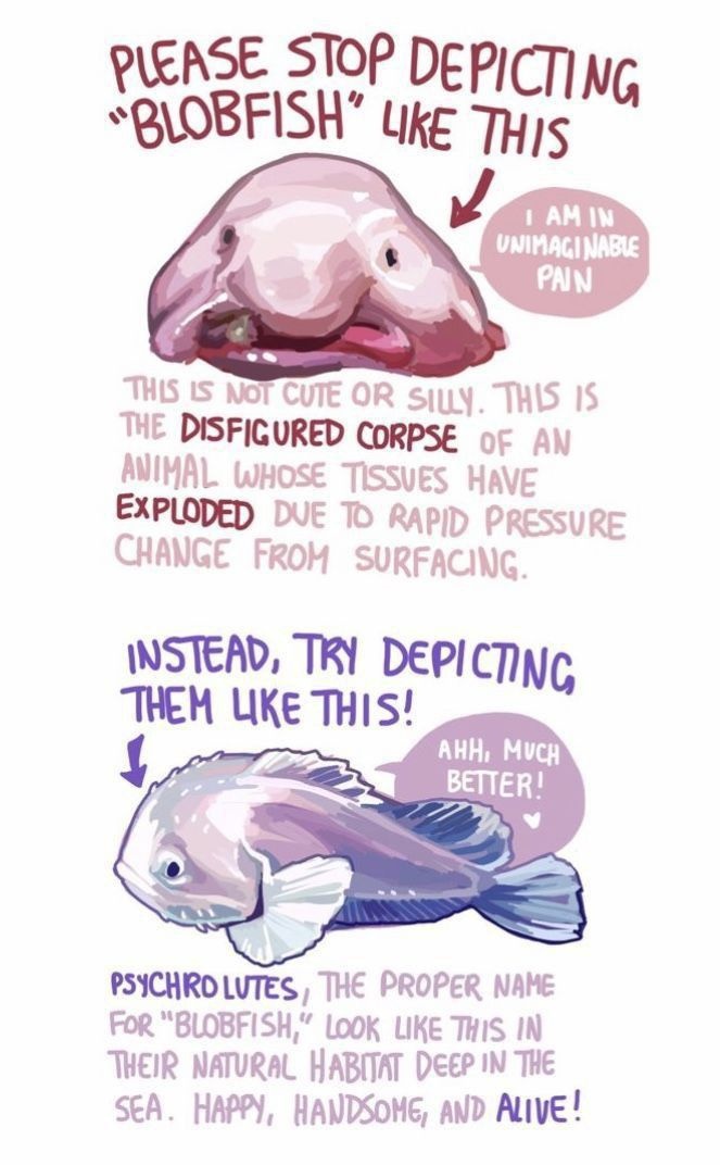 ef8a3c98-d879-410c-b072-8a0e278f833d