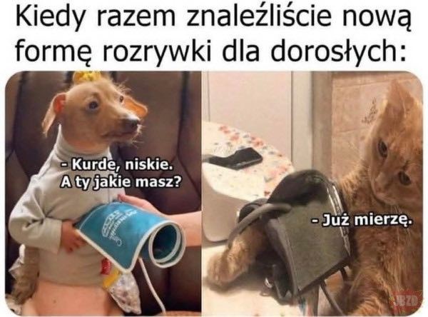 d3f6cc8c-2731-4aba-b43d-57eba6bddf36