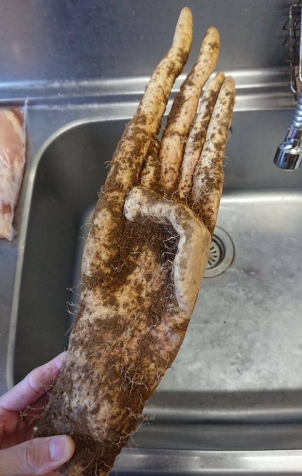 116e5314-8bc2-46d5-8995-a3b8142c2192