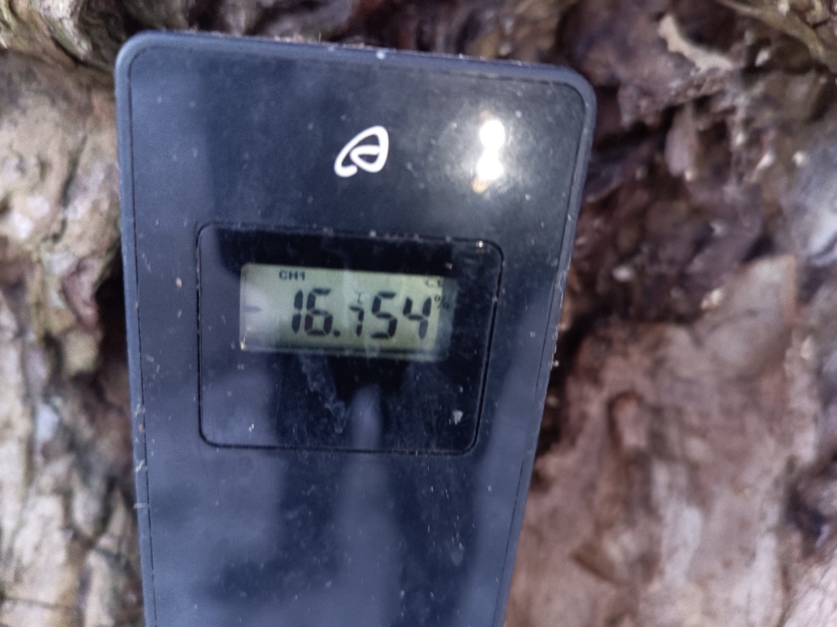 06956cfb-cfa1-469a-be91-5a650b0fa950