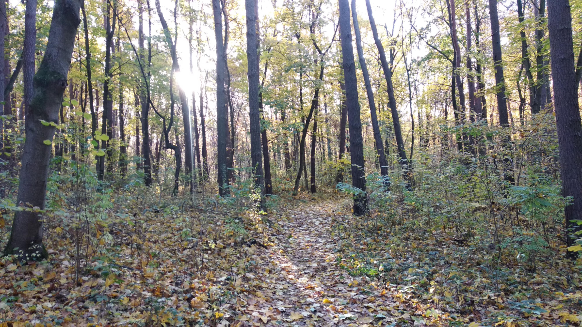 e63cbe64-a3d1-4fc6-8773-8d6241f790dc