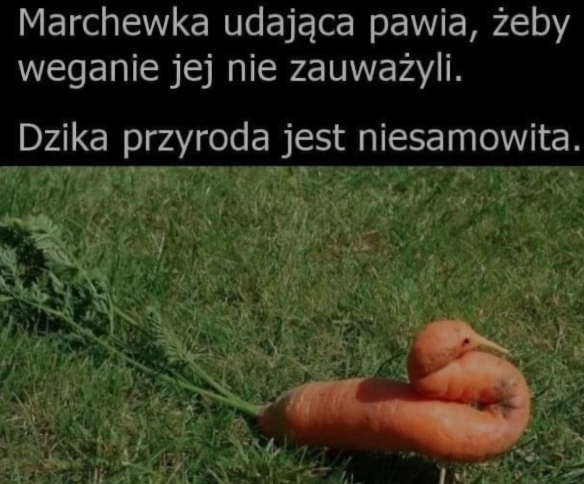 feb270db-896a-47d4-afc8-1f25e437c031