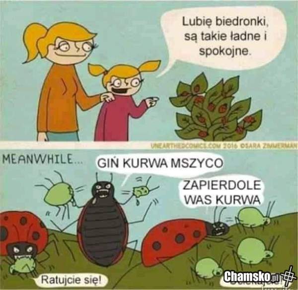 3056c4e5-393b-413a-b1b2-430409c85636