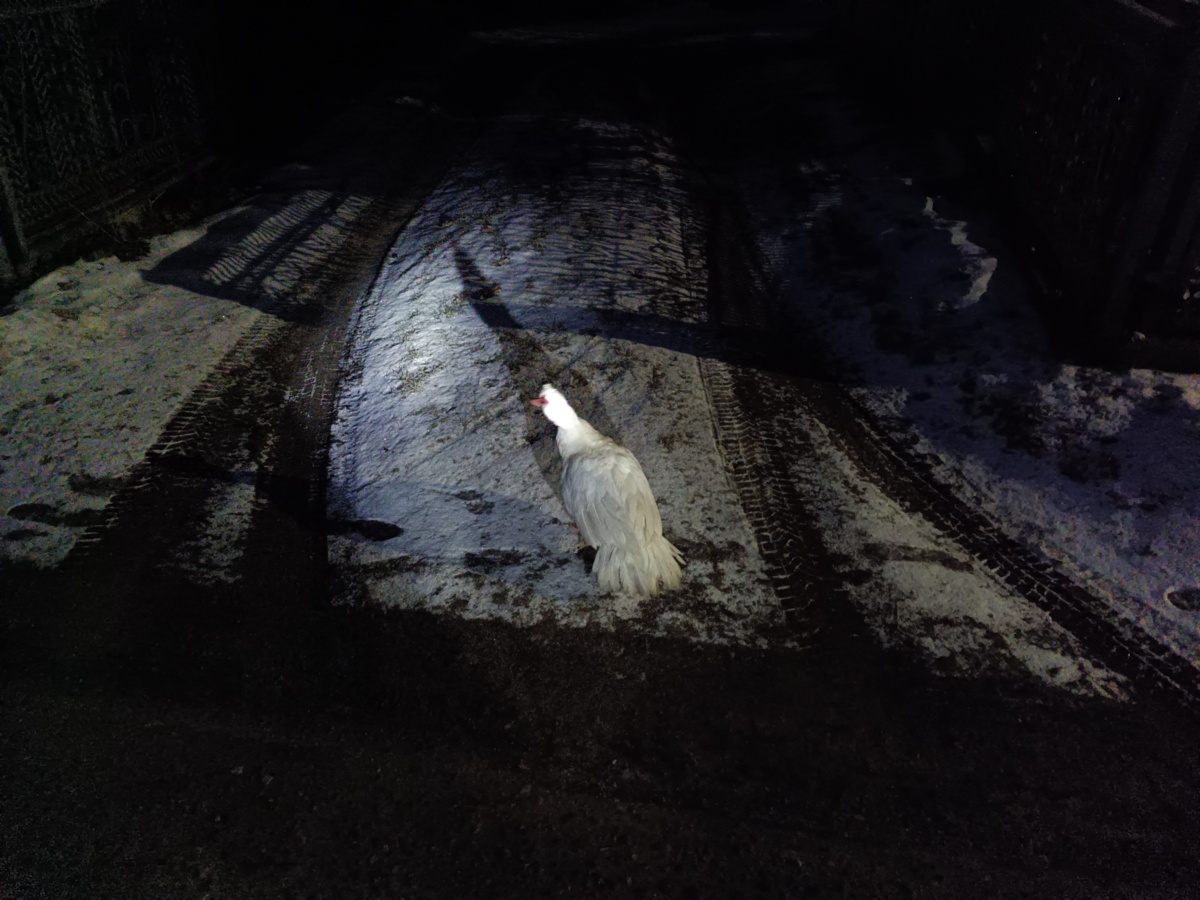 1a5601d7-5ea3-44dd-832b-71ec9781bae6