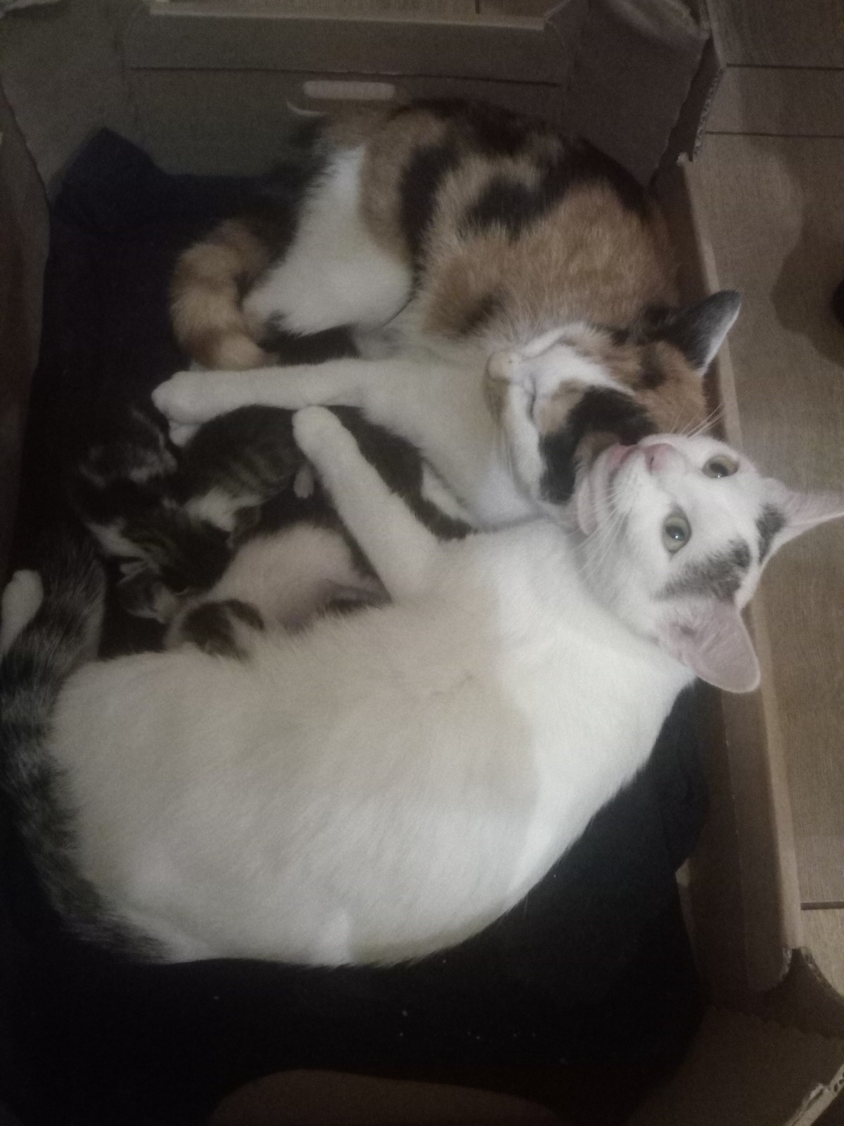 016ab508-c448-482c-9367-0be2a21f485d