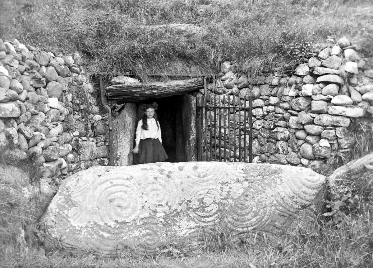 06cc376f-bfa1-4a86-b6d9-5ac4da3685ce