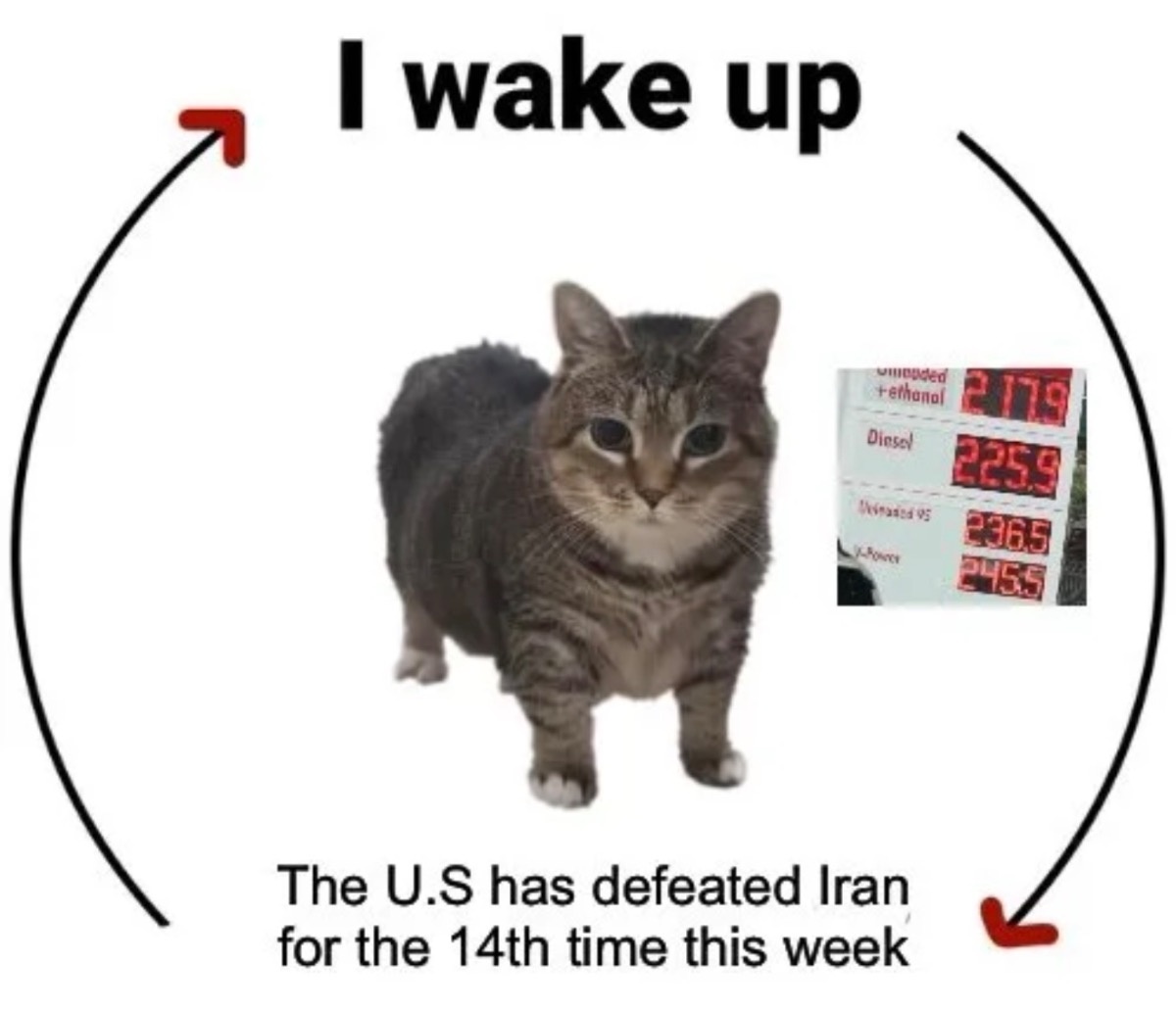 70b23a60-cfa4-41fd-8f55-92a845985790