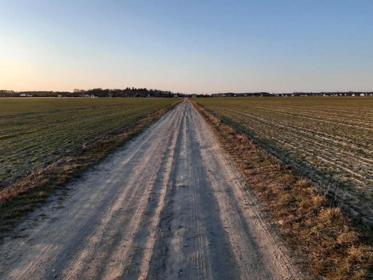 7248672a-6683-4bac-852e-4a0020928c6f