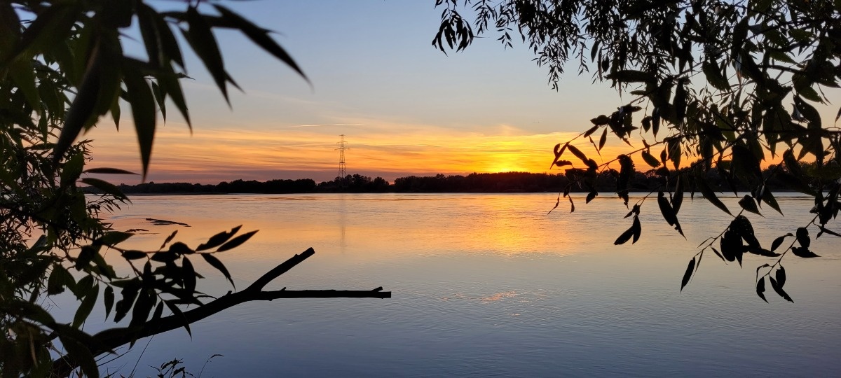 e0b03ed9-c080-4ad4-b598-9b1c5f677dfd