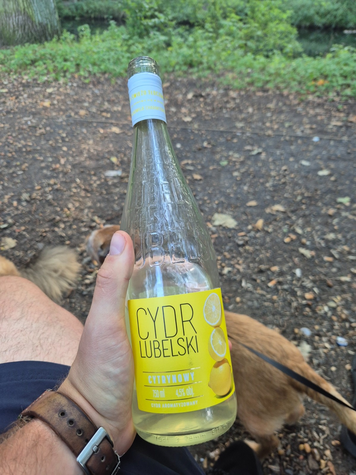 4e9d1e9e-2da8-4940-a76b-dfb572ff3443