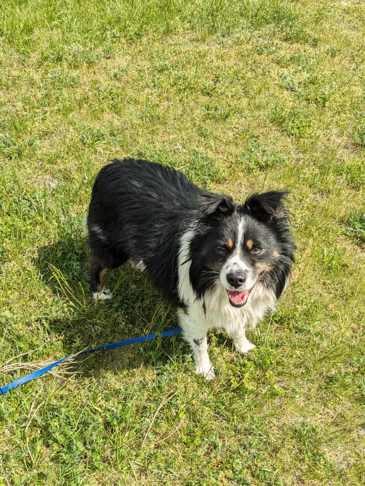 3368236f-b104-4bd1-9065-921cba379b26