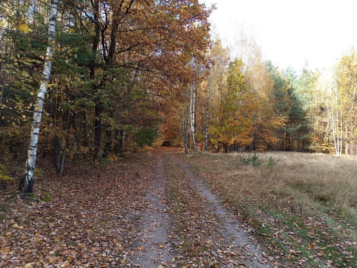 fc18ca49-4098-4c43-8c1c-dcae7e9e3c7c