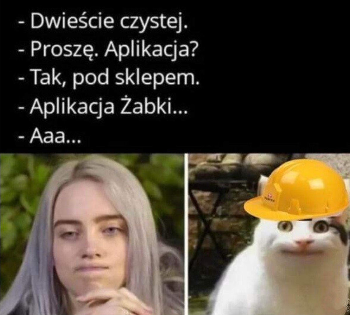 d4ea0731-f534-49a6-9739-3c0eba6e2f8b