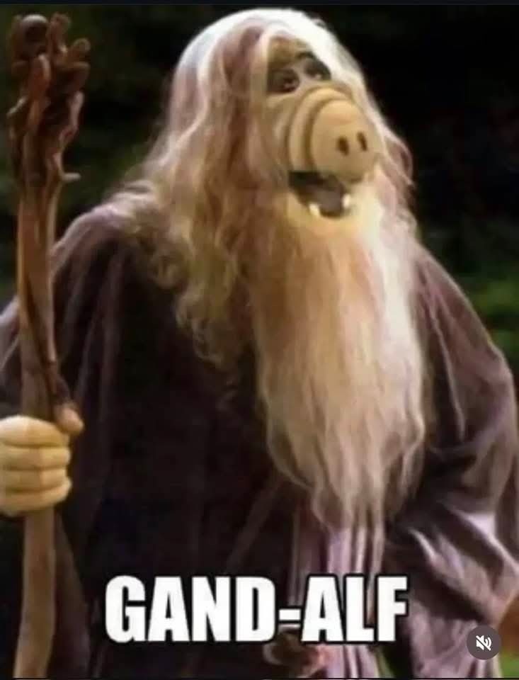 c8749bca-a205-495c-9ec4-67a25adbd8e7