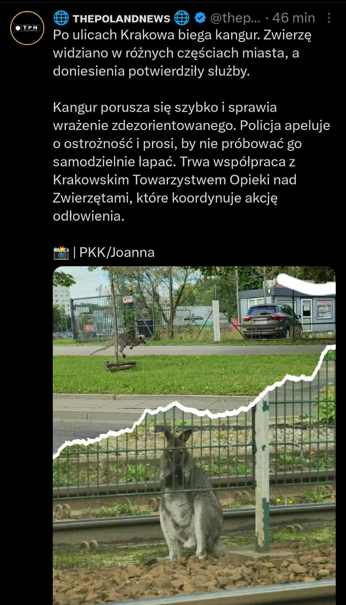 2a4ba56b-a61f-4bf6-8209-b344996a794b