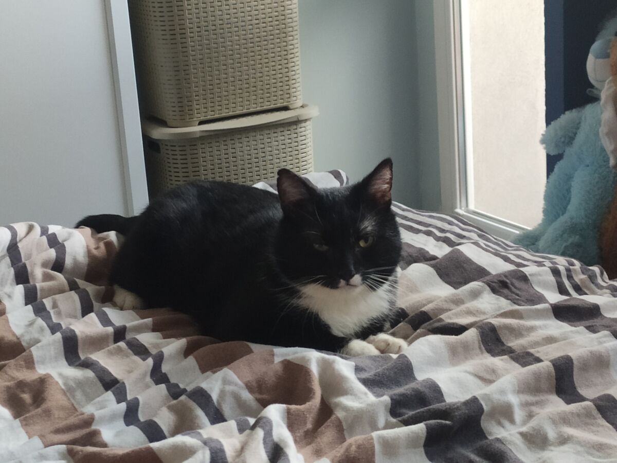 5d0ed909-62bb-49c9-811b-29bf9fa51881